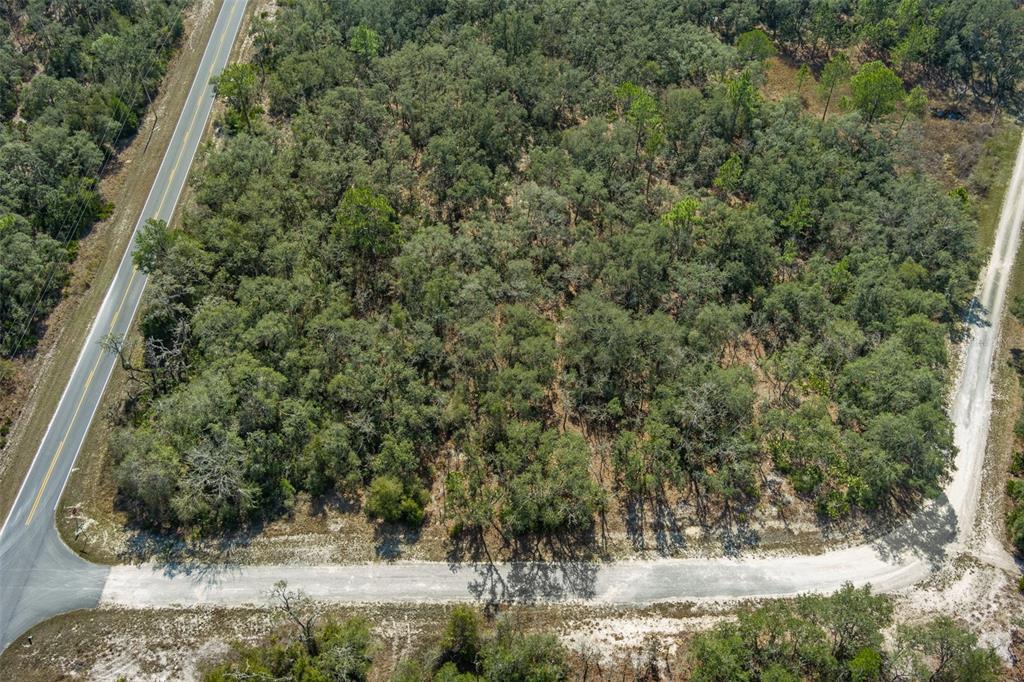 0 Short Stone Drive Webster, FL 33597 - Photo 2 of 17 a view of a yard