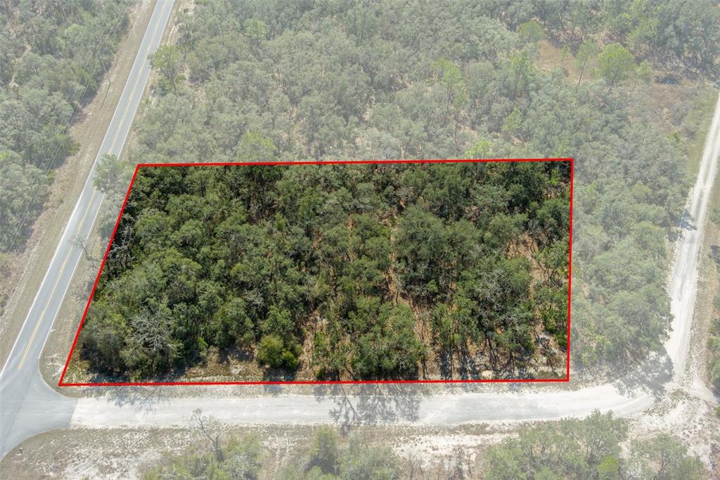 0 Short Stone Drive Webster, FL 33597 - Photo 5 of 17 a view of a yard