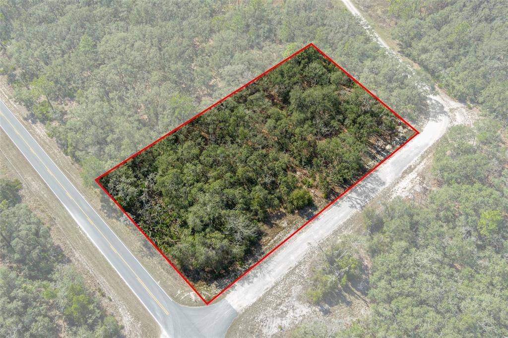 0 Short Stone Drive Webster, FL 33597 - Photo 5 of 17 a view of a garden from a balcony