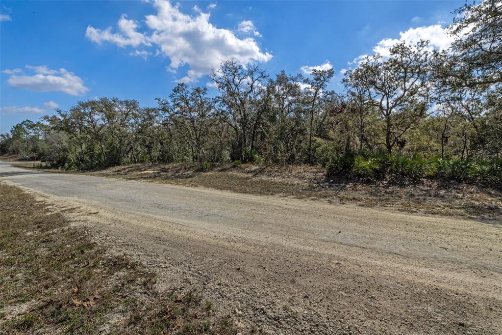 0 Short Stone Drive Webster, FL 33597 - Photo 6 of 17