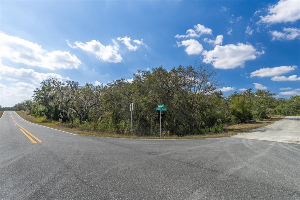 0 Short Stone Drive Webster, FL 33597 - Photo 7 of 17 a view of a big yard with large trees