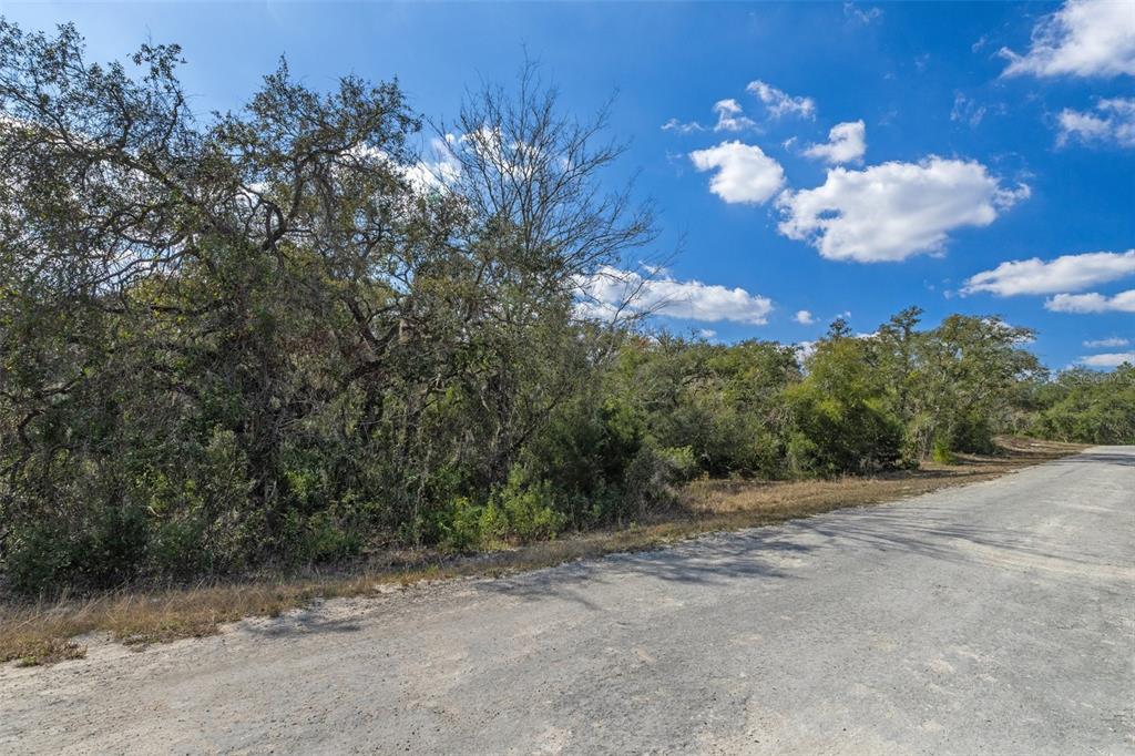 0 Short Stone Drive Webster, FL 33597 - Photo 8 of 17 a view of a house with a street