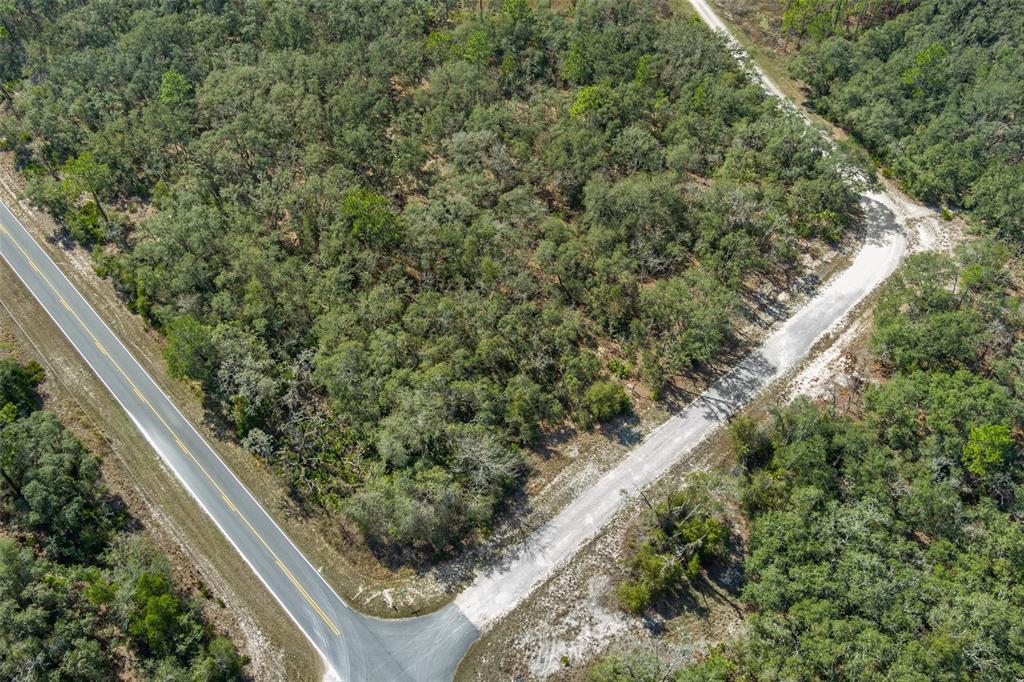 0 Short Stone Drive Webster, FL 33597 - Photo 9 of 17 a view of a yard with plants and wooden fence