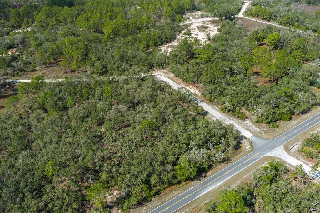 0 Short Stone Drive Webster, FL 33597 - Photo 10 of 17 a view of a yard with plants