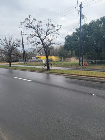 a view of road and trees
