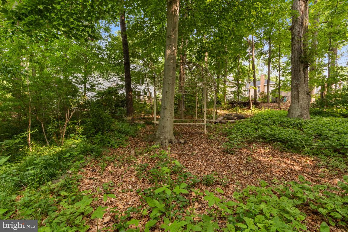 7607 Gralnick Place Springfield, VA 22153 - Photo 54 of 55 Gallery Image 54