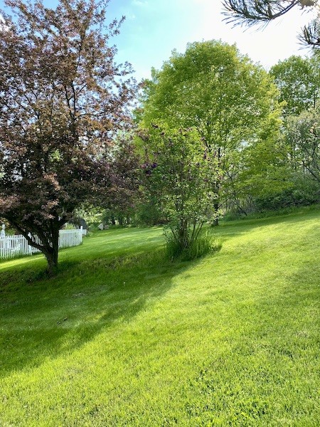 589 South Apalachin Road Apalachin, NY 13732 - Photo 34 of 45