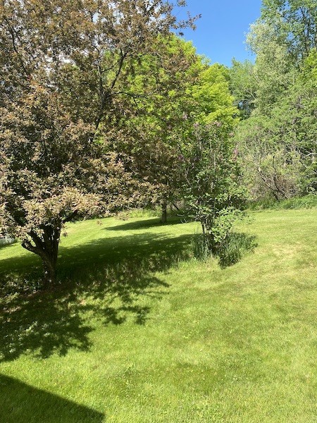 589 South Apalachin Road Apalachin, NY 13732 - Photo 35 of 45