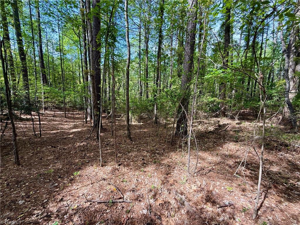 161 Greens Road Granite Falls, NC 28630 - Photo 18 of 38