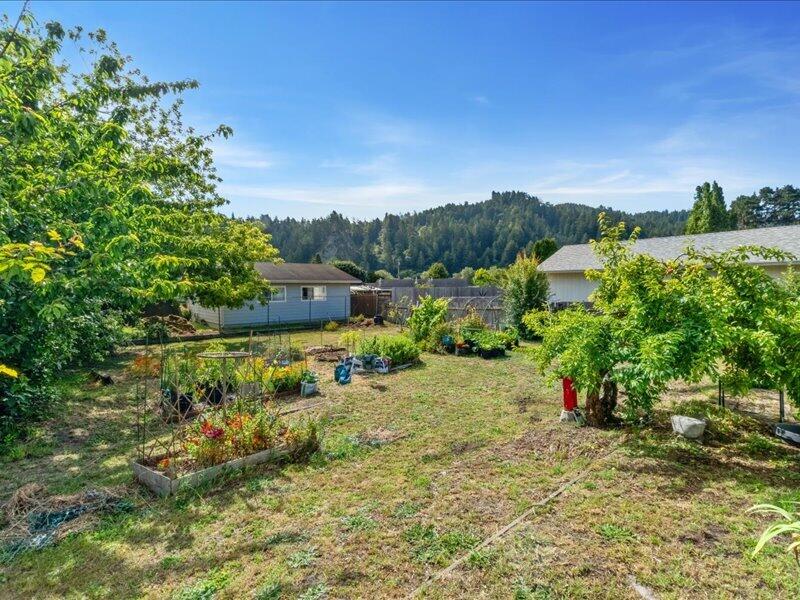 616 Rigby Avenue Rio Dell, CA 95562 - Photo 25 of 25