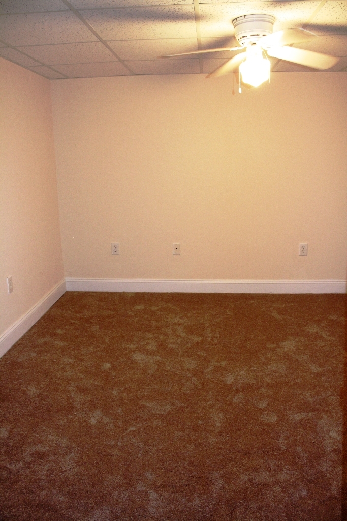 1722 Pomeroy Road Salem, VA 24153 - Photo 21 of 26 Basement
