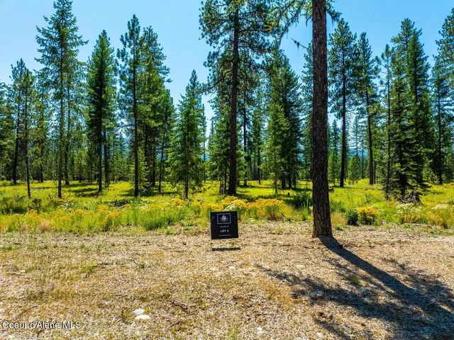 $575,000 | L2-b1 Wallace Lane, Blanchard, ID 83804