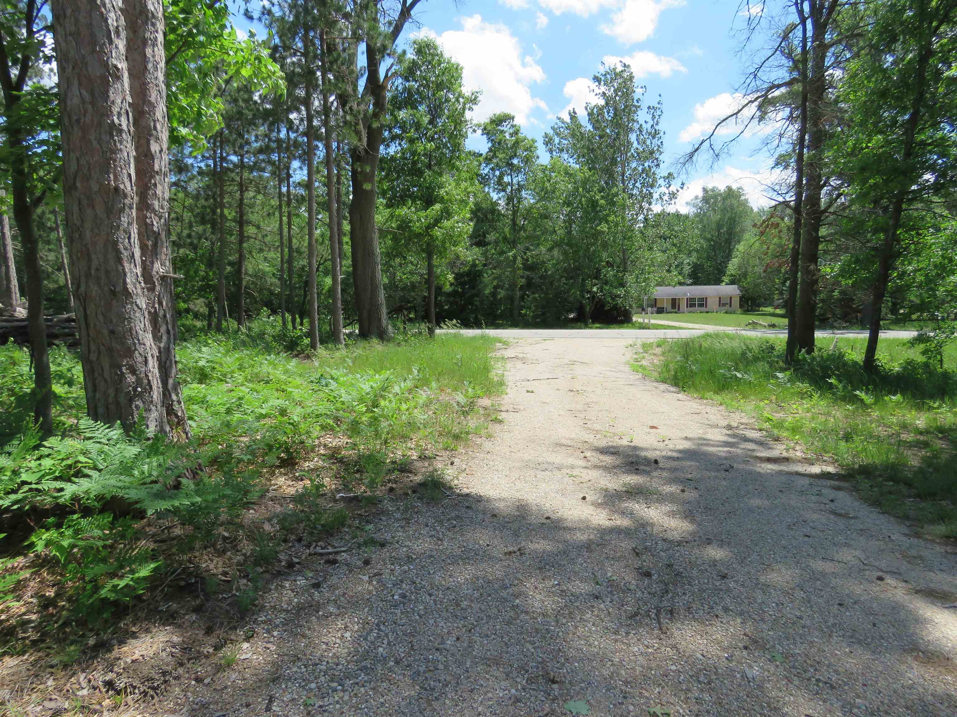 10420 West Rosted Road Lake City, MI 49651 - Photo 10 of 11