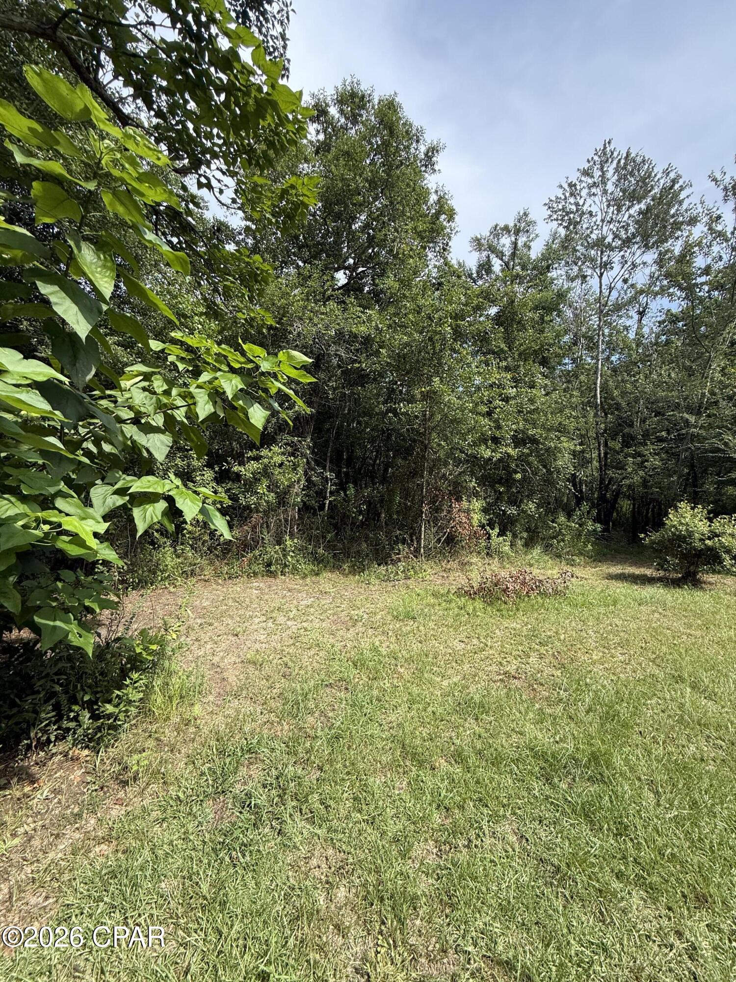 2243 Syfrett Road Cottondale, FL 32431 - Photo 21 of 24