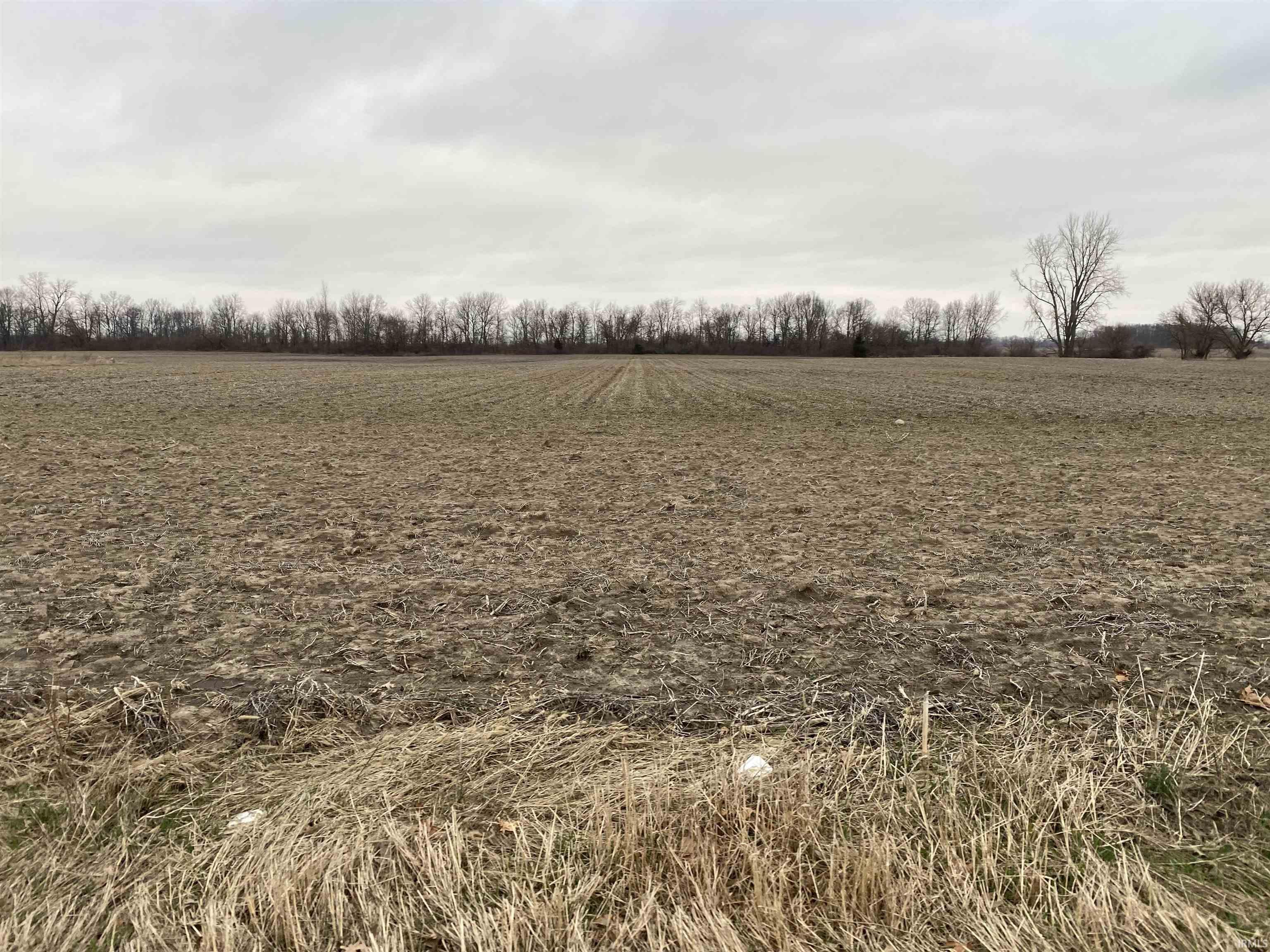 900 East N Road North Manchester, IN 46962 - Photo 3 of 25