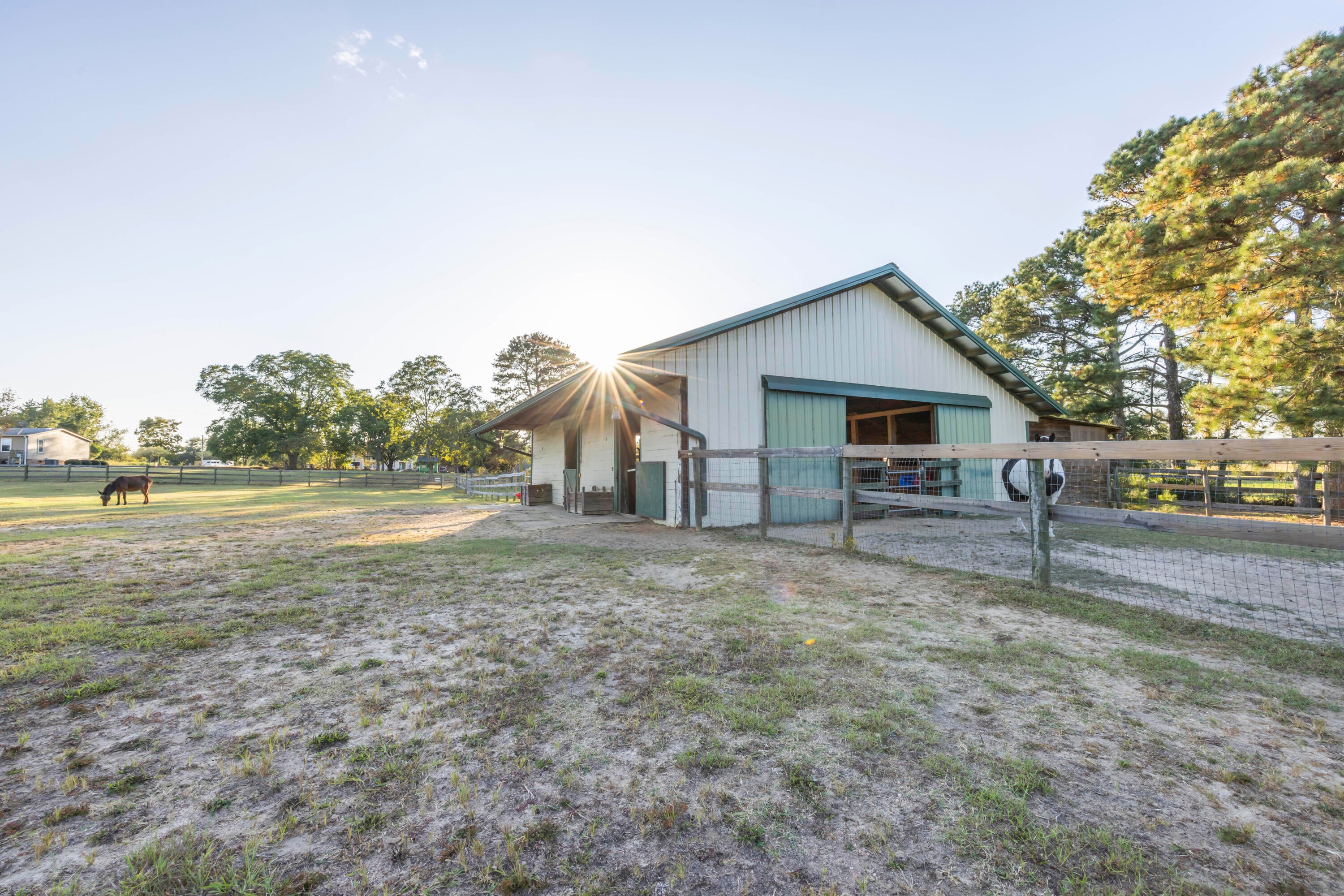 269 Holmes Pond Road Johnston, SC 29832 - Photo 40 of 51 Gallery Image 40