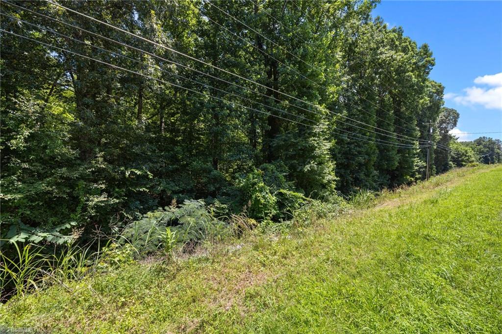 425 South Bunker Hill Road Colfax, NC 27235 - Photo 5 of 8