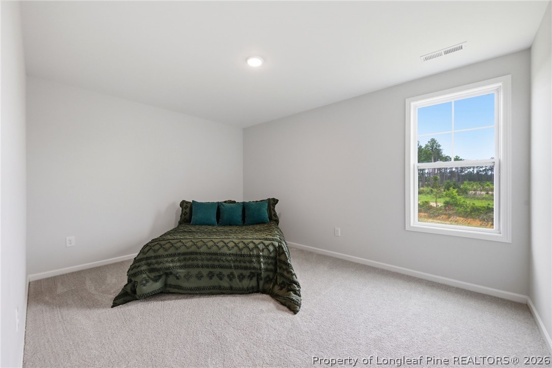 179 Palomo Place Raeford, NC 28376 - Photo 16 of 21