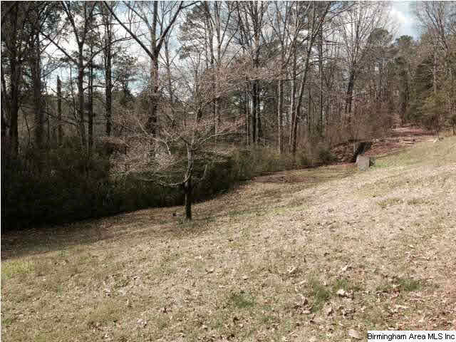 244 Gary Lane Springville, AL 35146 - Photo 5 of 13