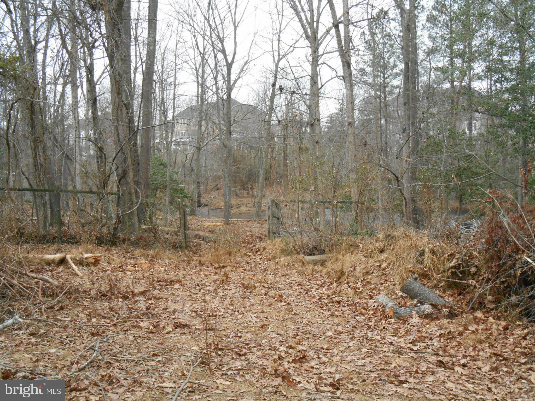 Gently sloping lot down to small pond