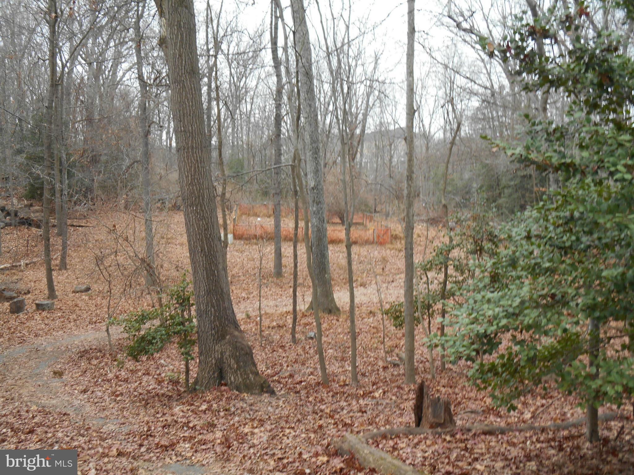Beautiful 5 acre wooded lot