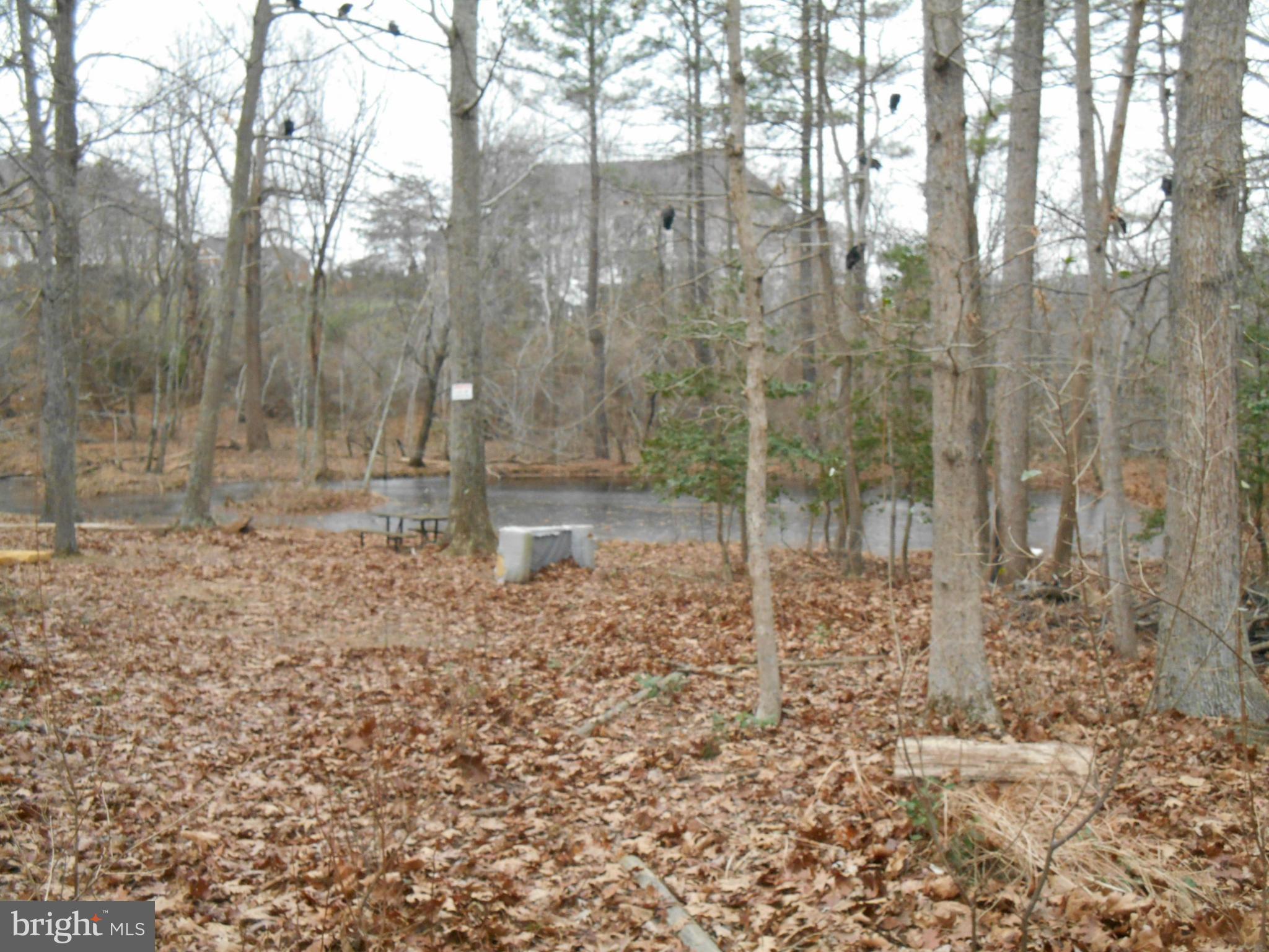 Small 1/2 acre pond at rear of lot