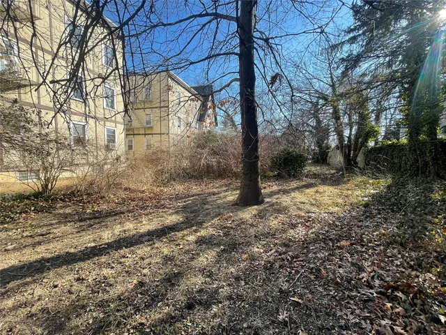 a view of a yard with a tree