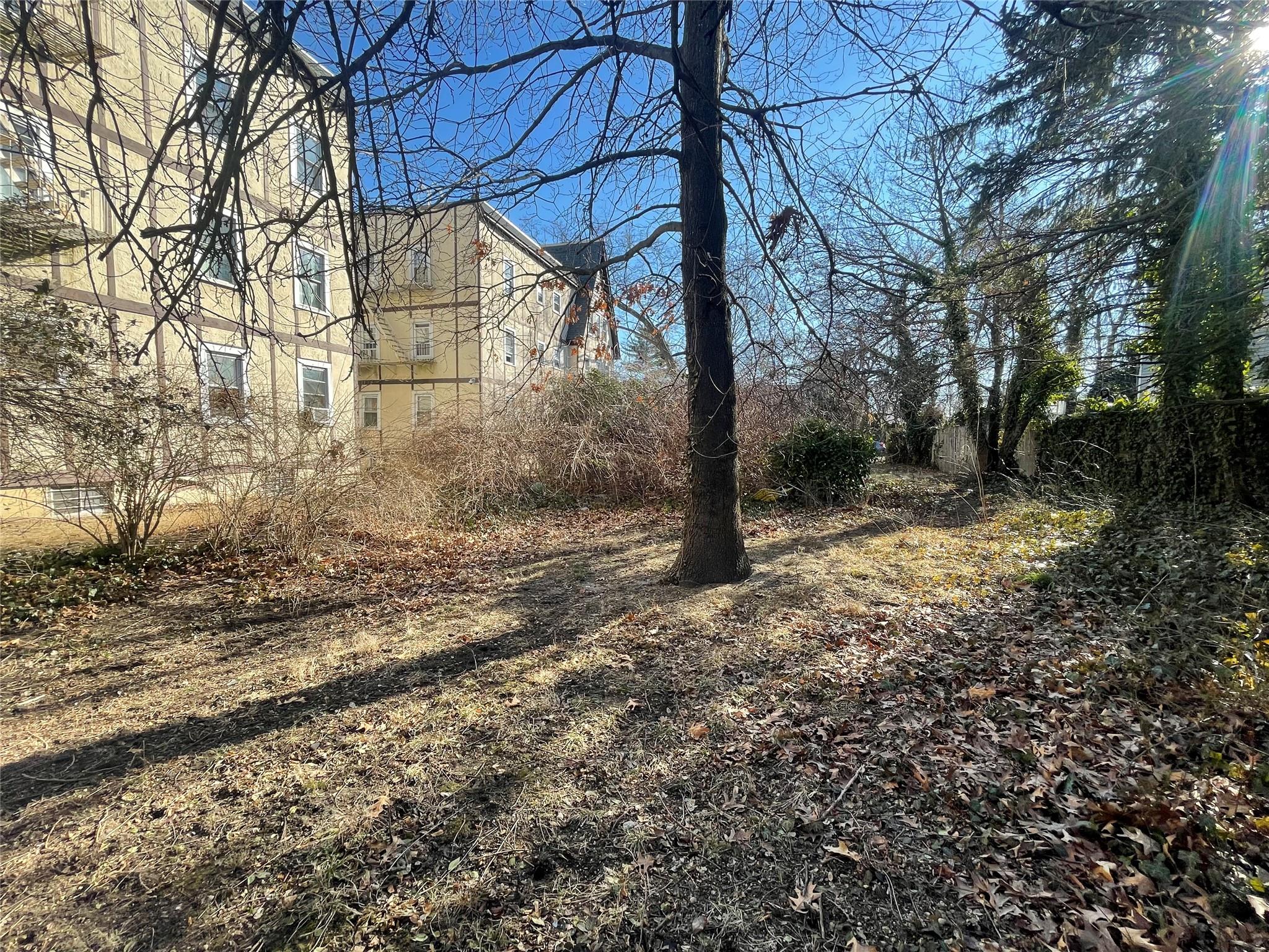 a view of a yard with a tree