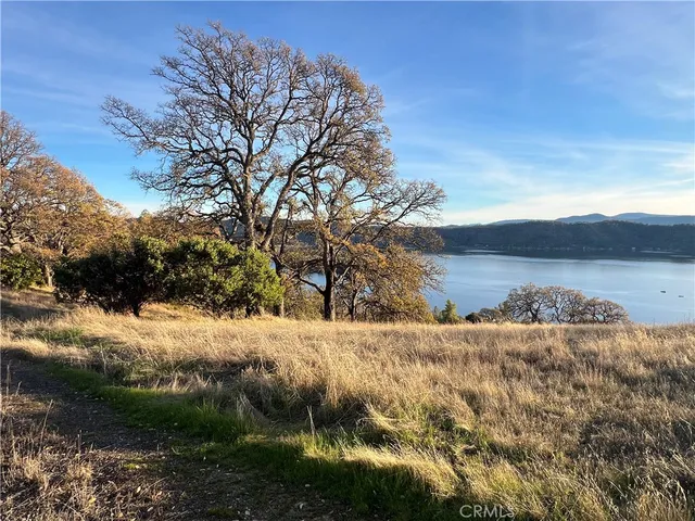 a view of a yard with large trees