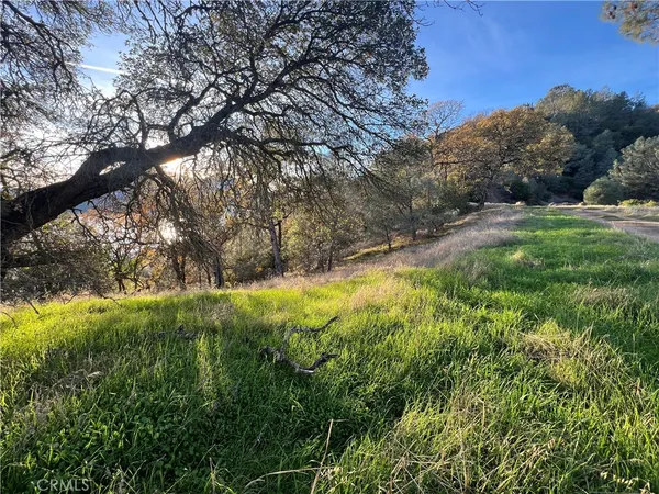 a view of dirt yard with a tree