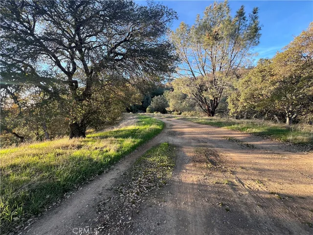 a view of a yard with a garden