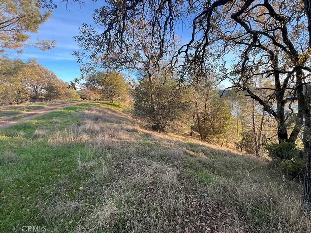 a view of mountain covered with green trees