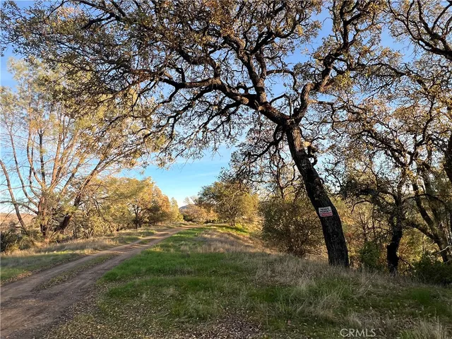 a view of an outdoor space with garden view