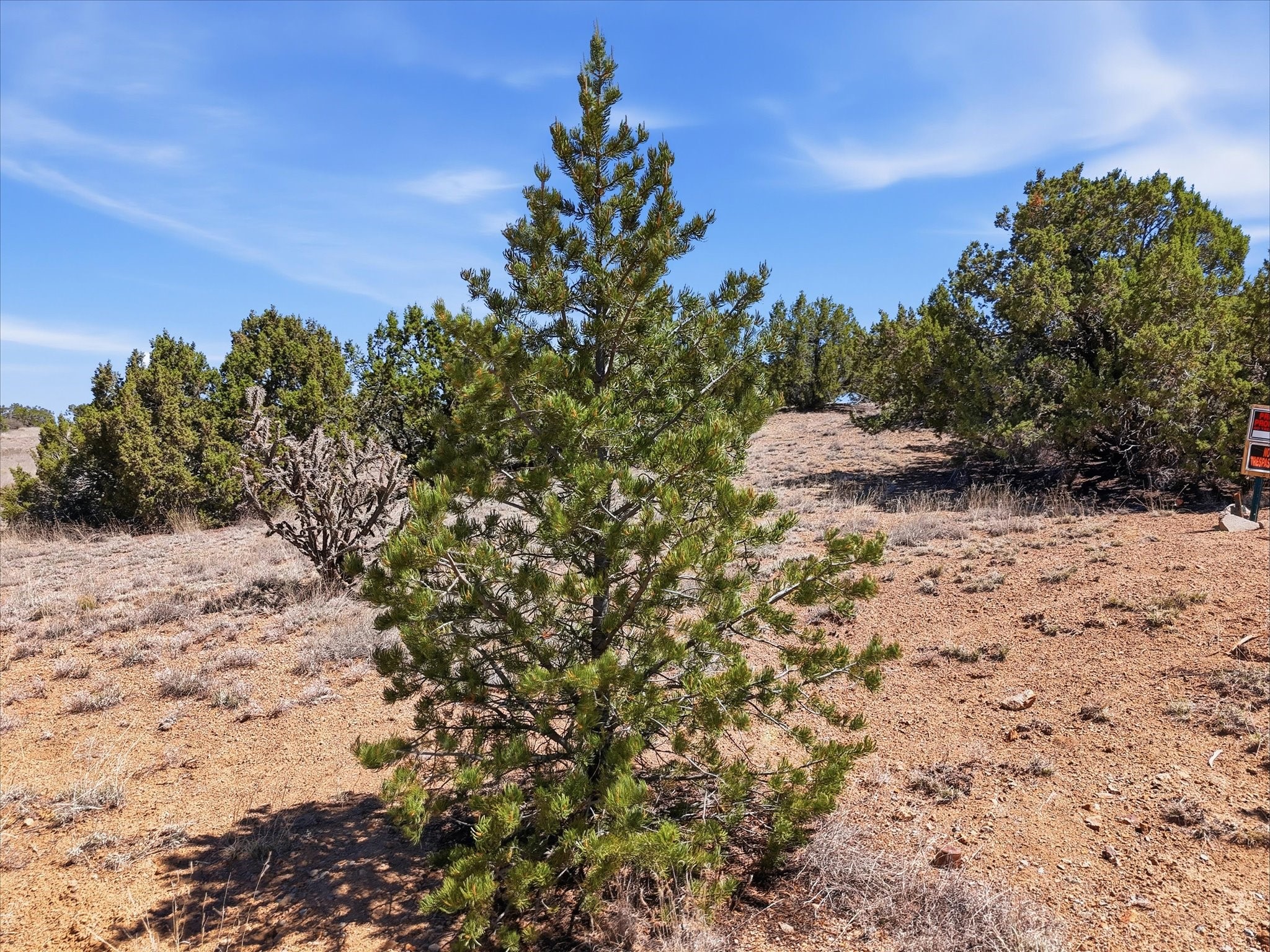 23 Black Canyon Road Santa Fe, NM 87508 - Photo 6 of 15