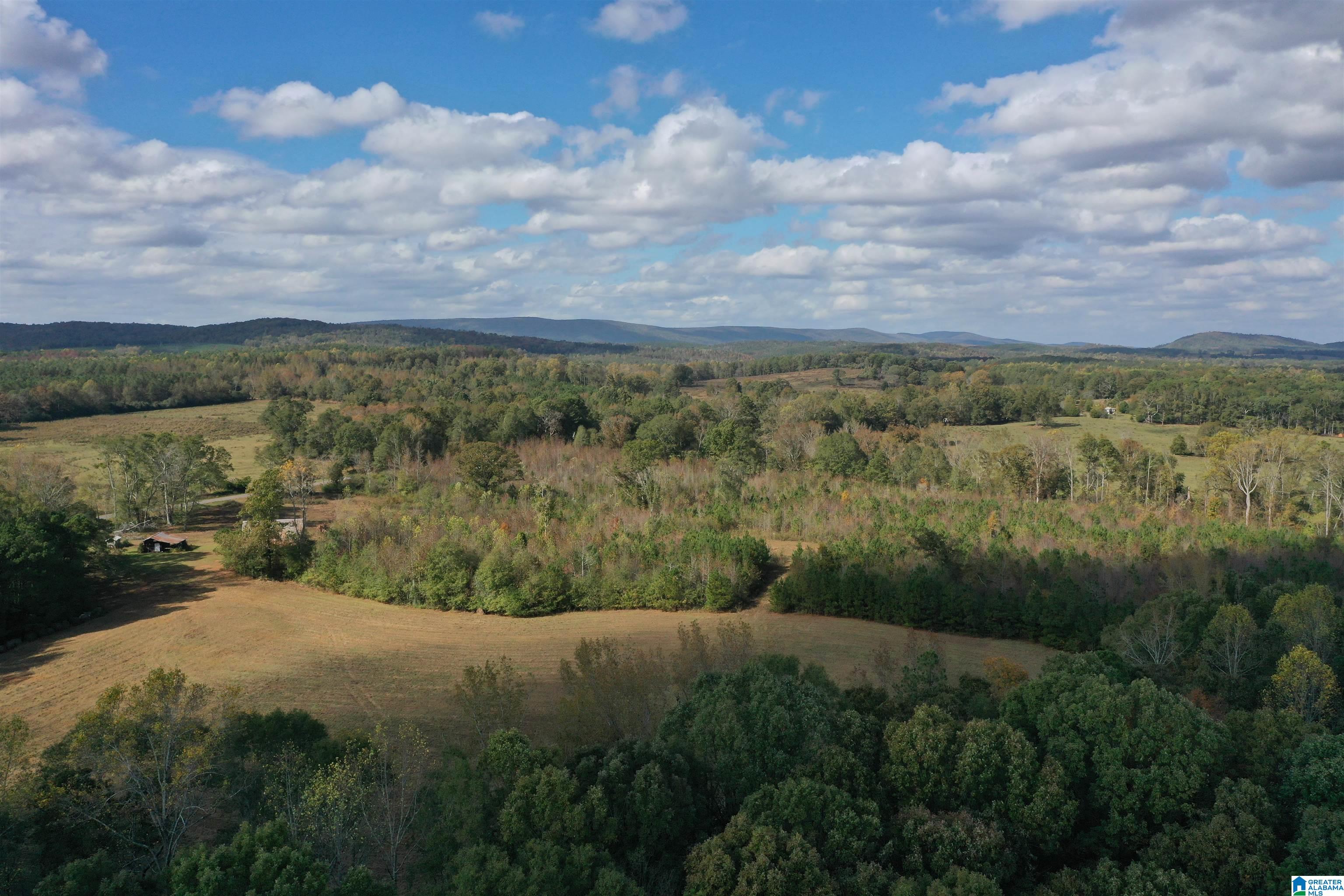 2518 Oak Grove Road Lineville, AL 36266 - Photo 10 of 48 Gallery Image 10