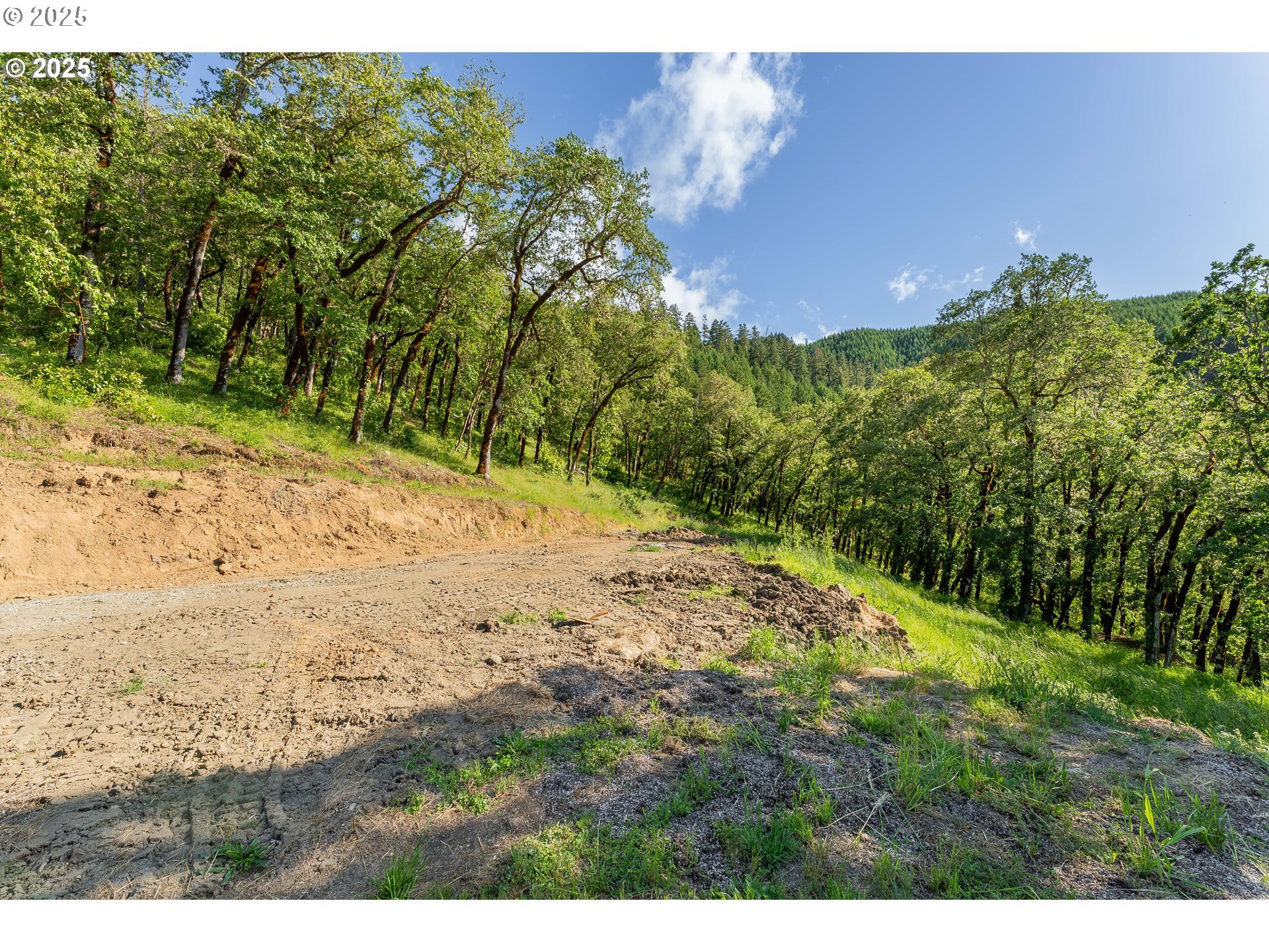 460 Huckleberry Mountain Lane Riddle, OR 97469 - Photo 25 of 34