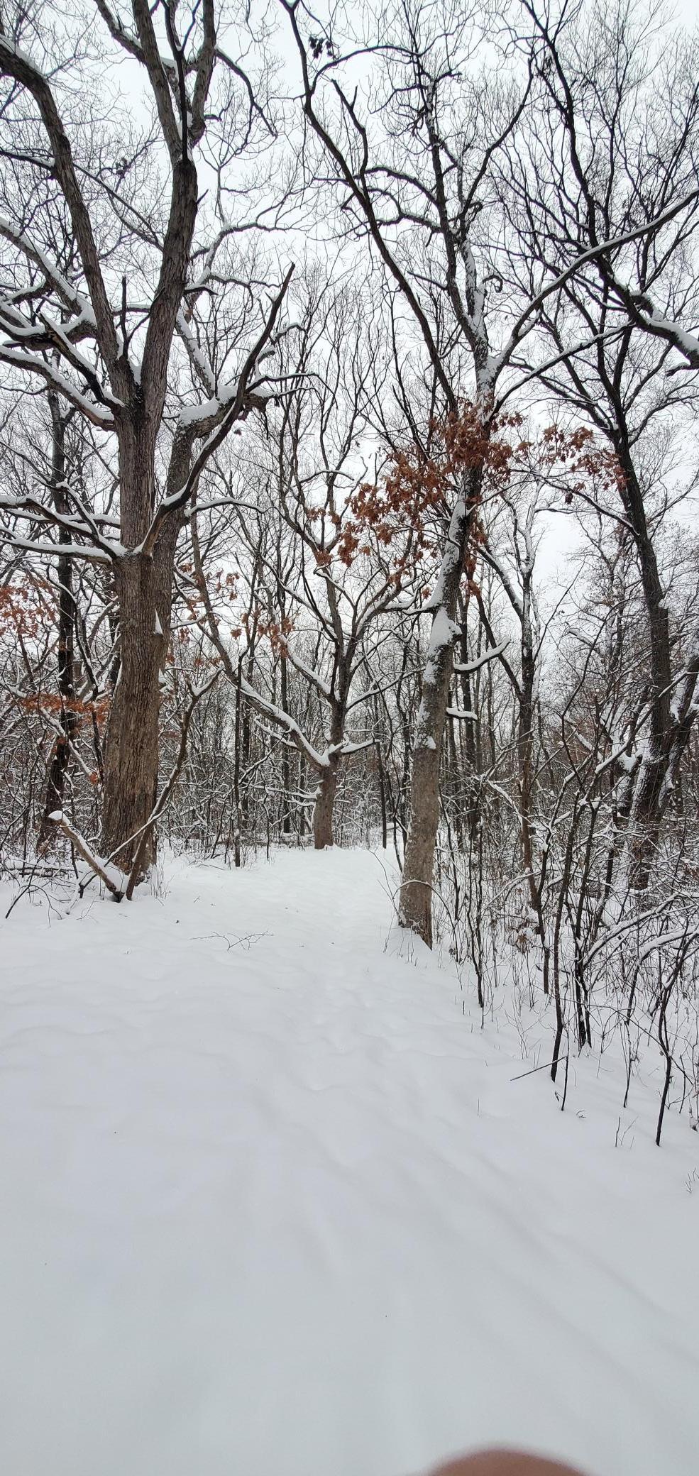 Tbd 50th Street Somerset, WI 54025 - Photo 11 of 15