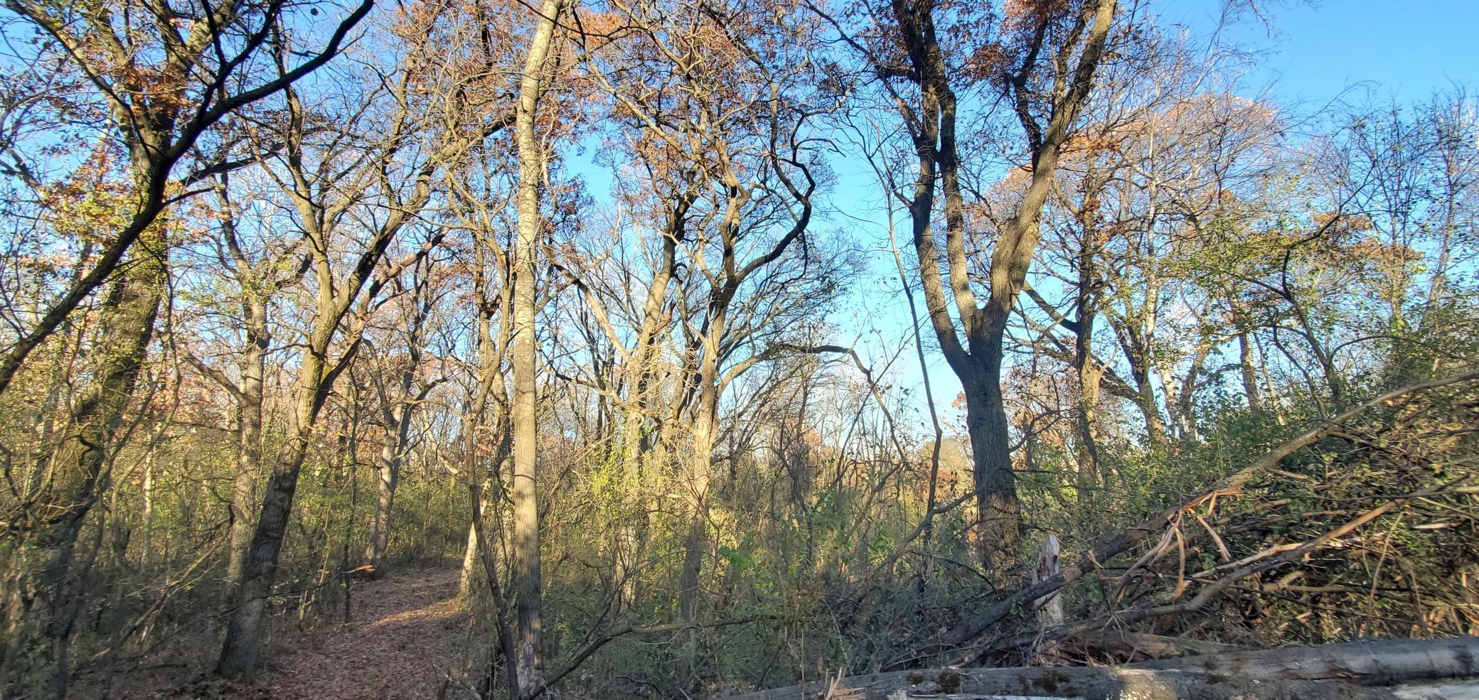 Tbd 50th Street Somerset, WI 54025 - Photo 13 of 15