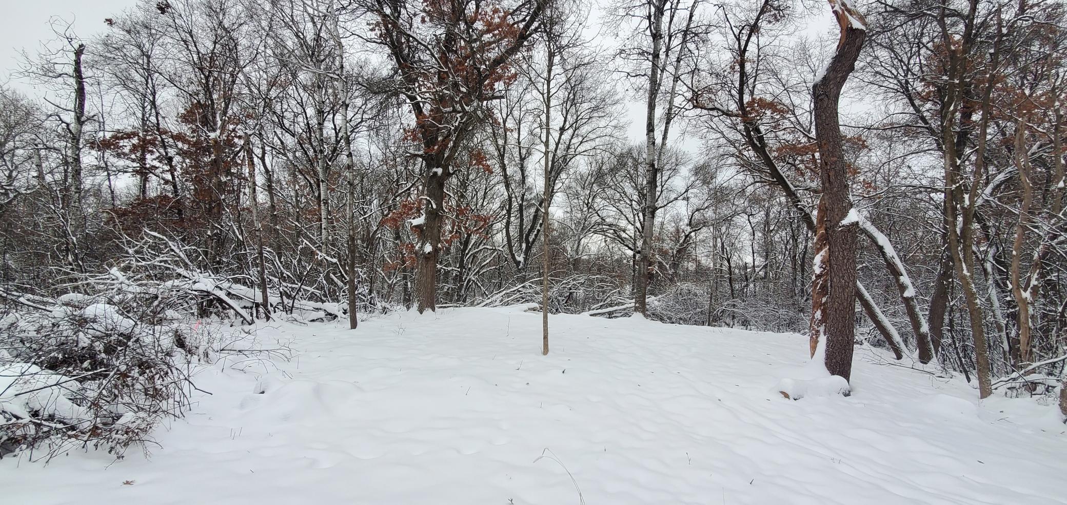 Tbd 50th Street Somerset, WI 54025 - Photo 5 of 15