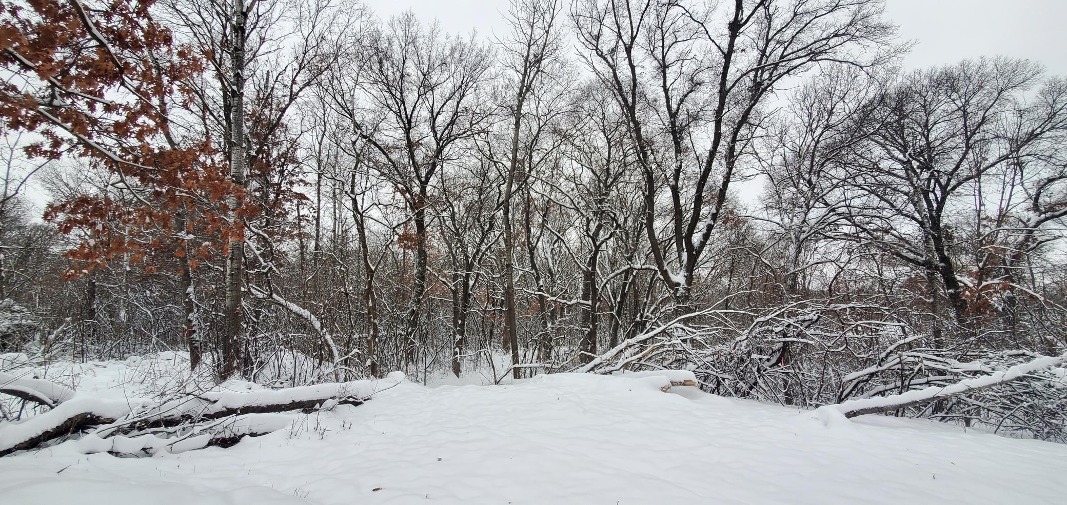 Tbd 50th Street Somerset, WI 54025 - Photo 7 of 15