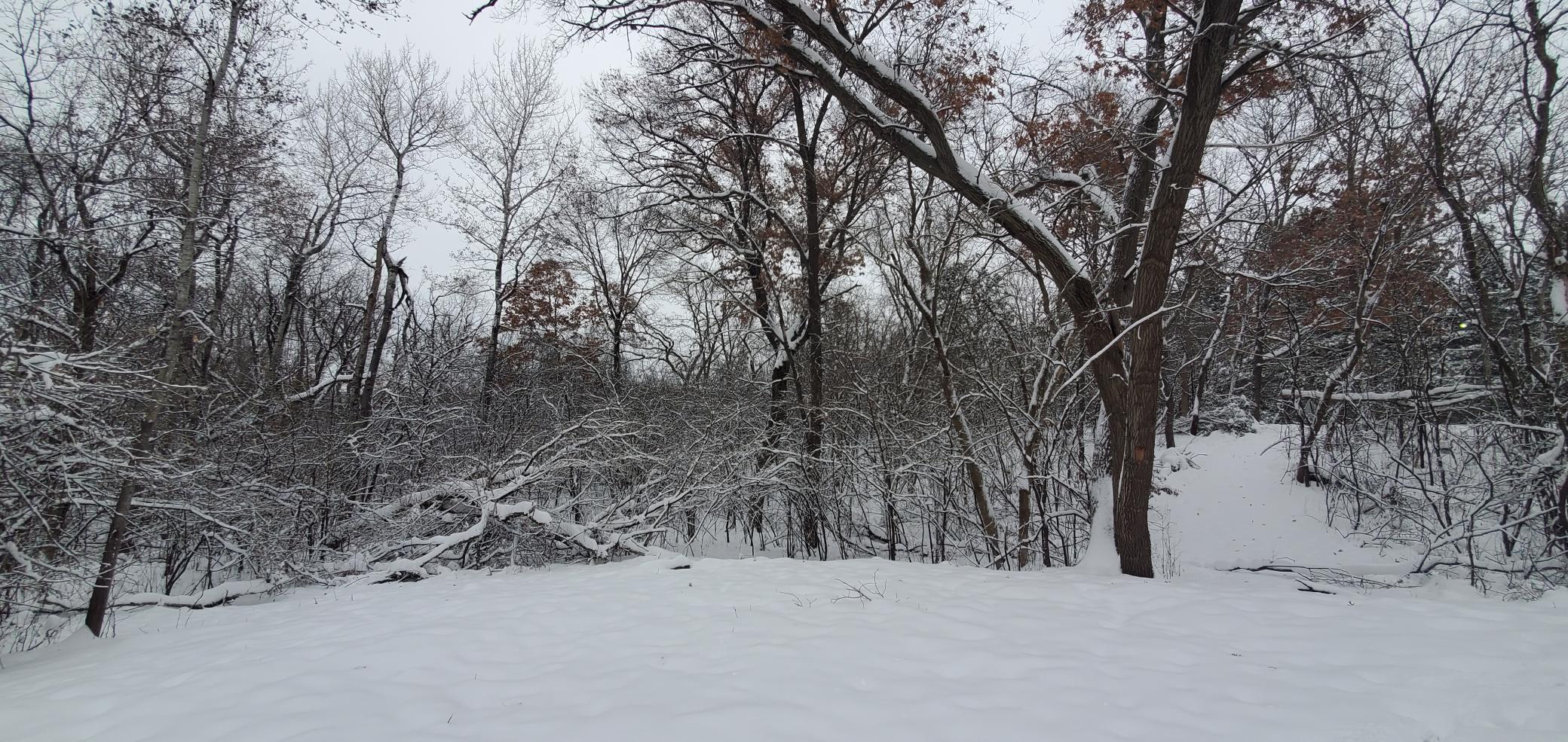 Tbd 50th Street Somerset, WI 54025 - Photo 8 of 15