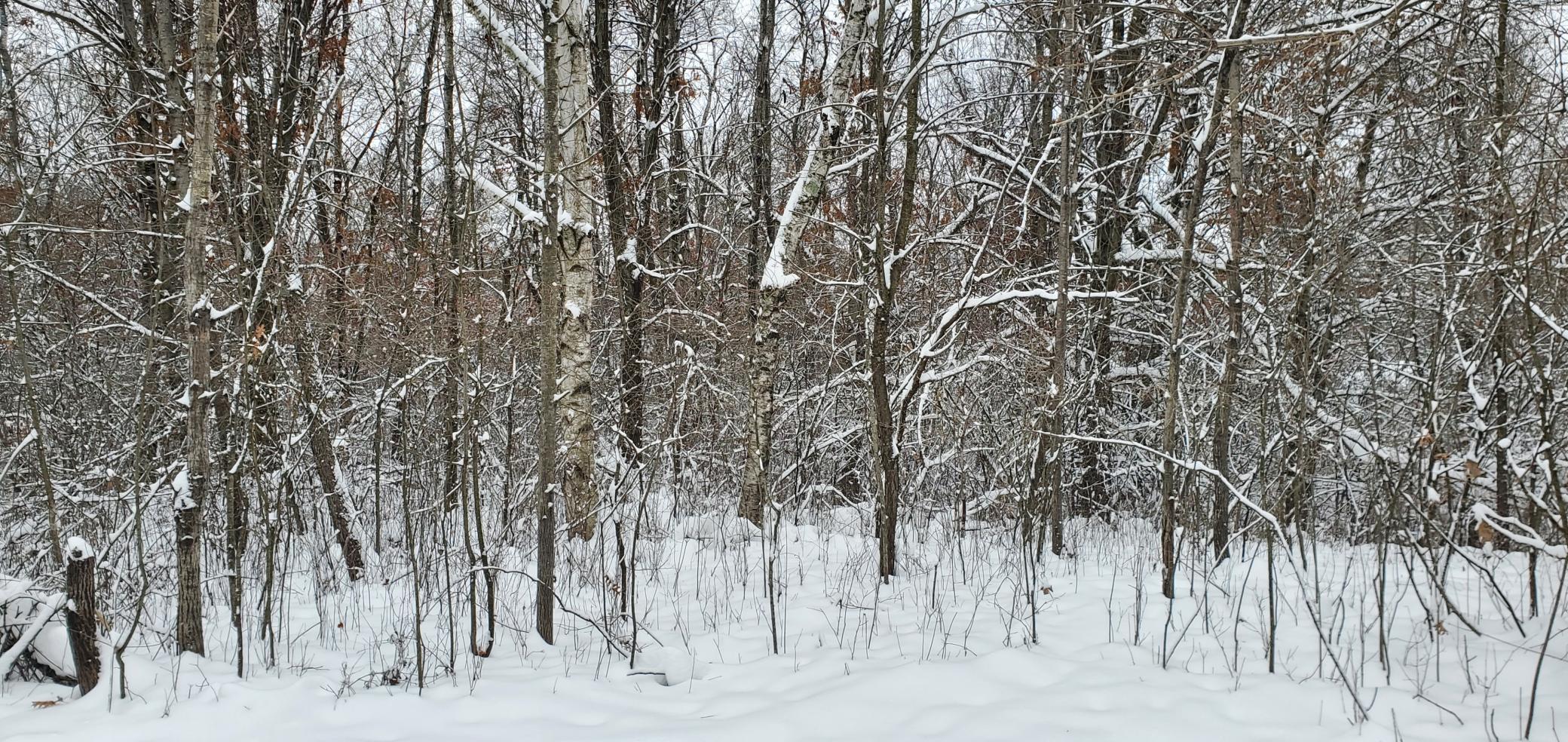 Tbd 50th Street Somerset, WI 54025 - Photo 9 of 15