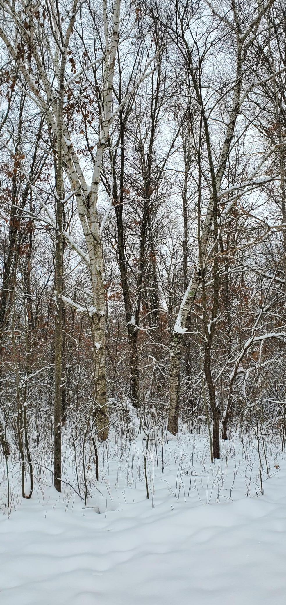 Tbd 50th Street Somerset, WI 54025 - Photo 10 of 15