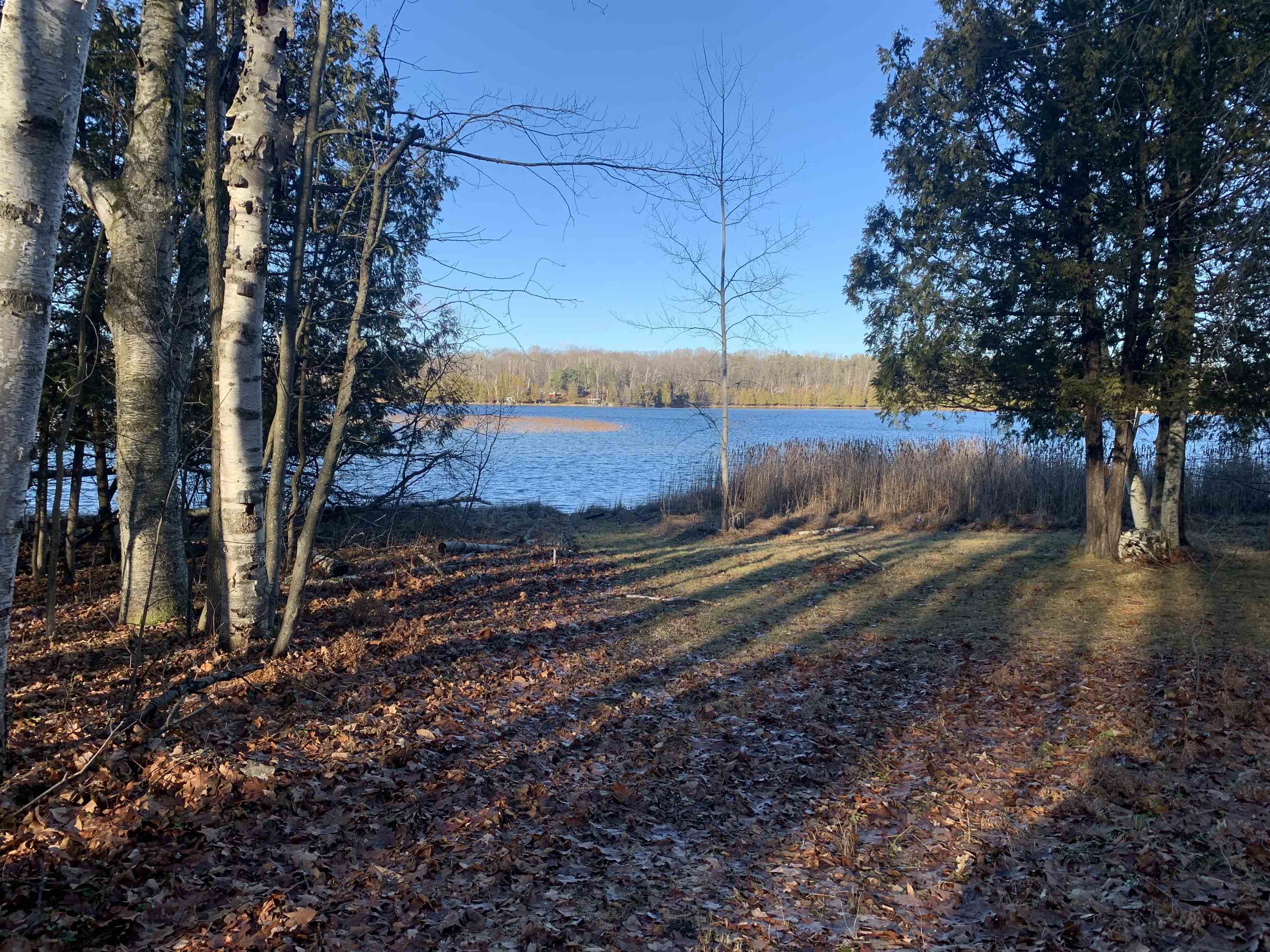 Birch View Trail Lake Rochester, MI 48309 - Photo 2 of 4