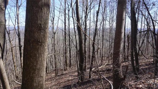 $28,000 | 41 Pinnacle Parkway, Union Mills, NC 28167