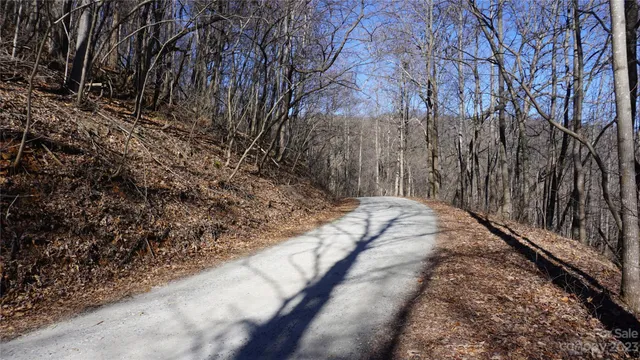a view of a backyard of the house