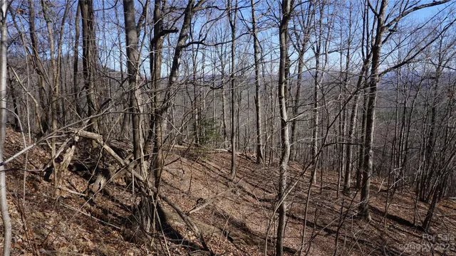 a backyard of a house with lots of trees
