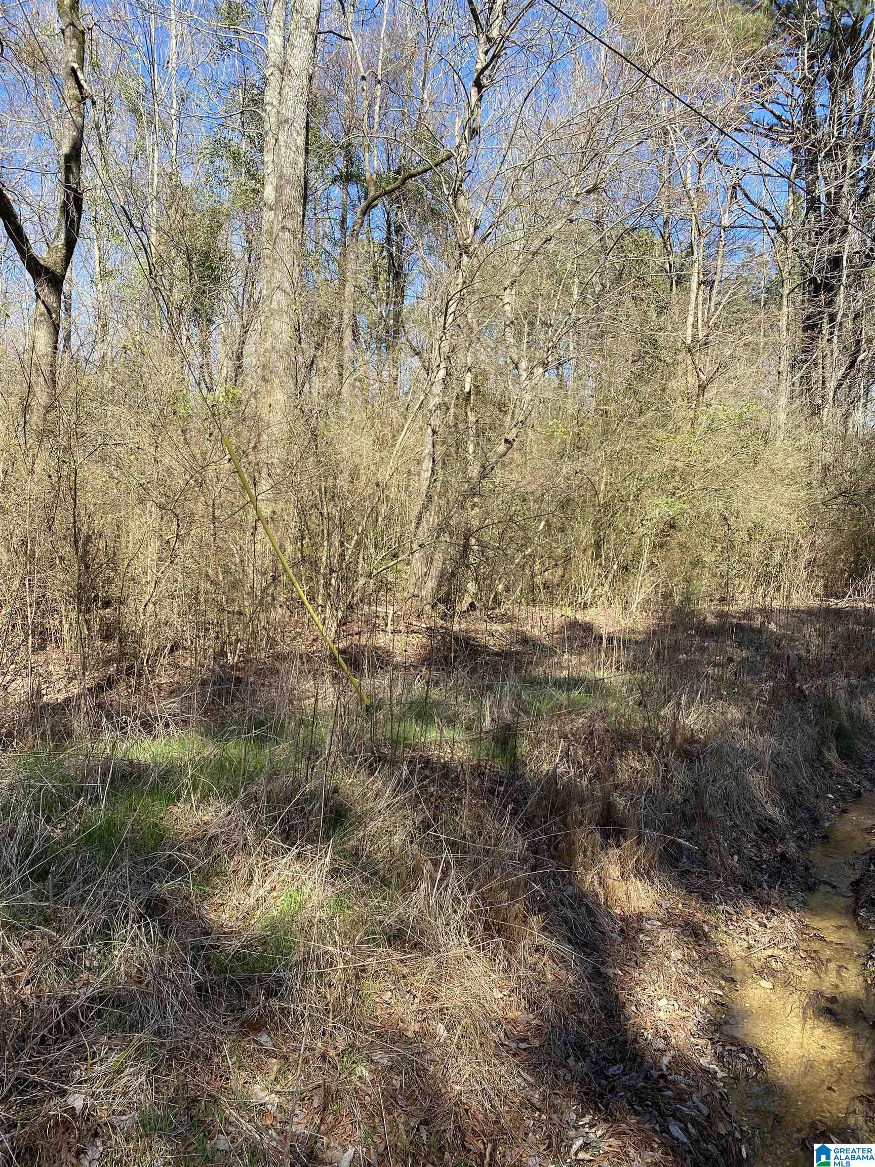 0 Wolf Creek Road North Pell City, AL 35125 - Photo 1 of 1