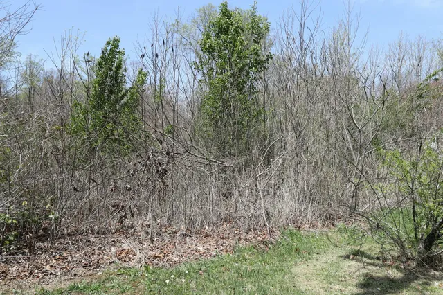 $227,900 | 30 Burnett Road, Gruetli Laager, TN 37339