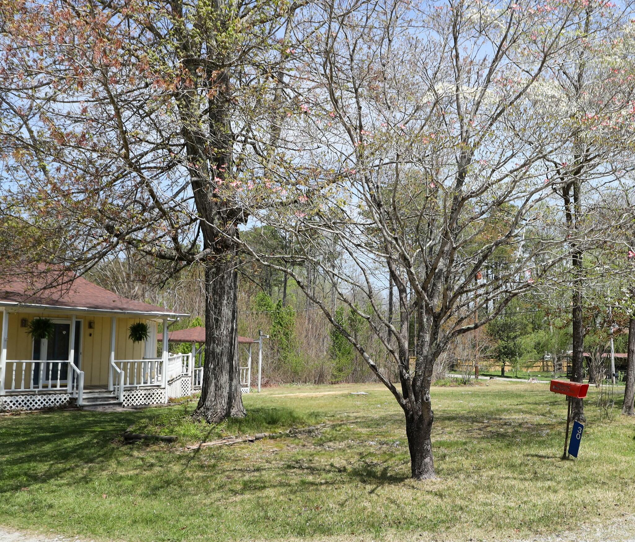 30 Burnett Road Gruetli Laager, TN 37339 - Photo 40 of 53 tempImage0Vw0mH